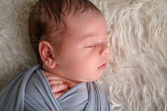 Newborn Baby | Luca